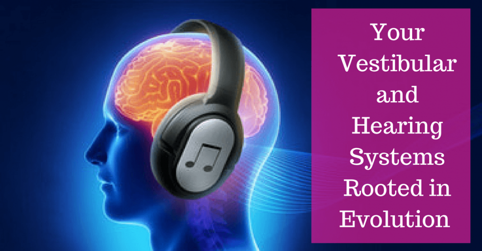 Your Vestibular and Hearing System are Rooted in Evolution