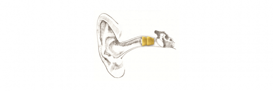 Hearing Tests in Edinburgh, Galashiels, St Andrews & Perth